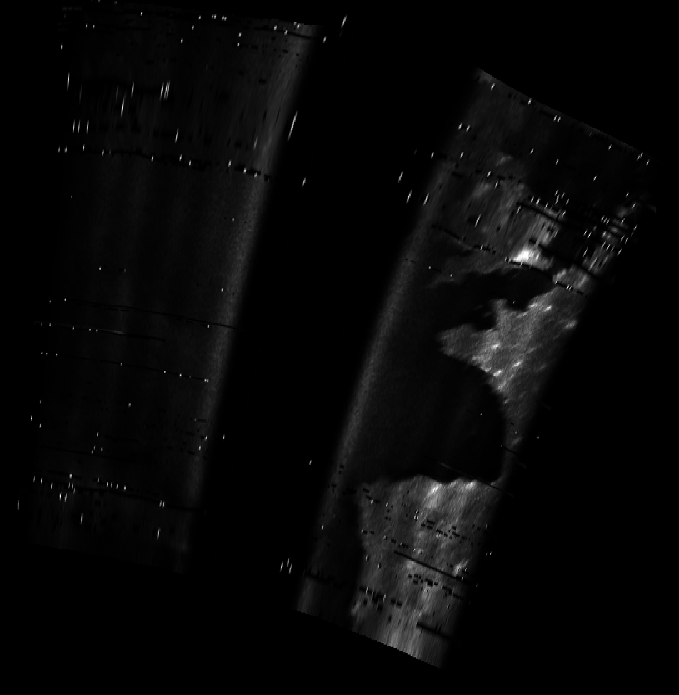 ascat_grayscale_proj_downward.png